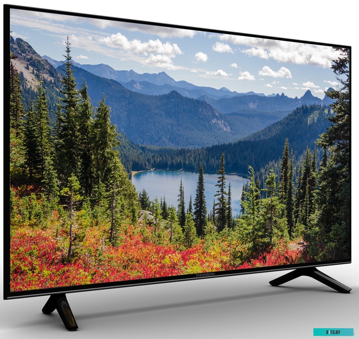 Телевизор Thomson T24RTE1290