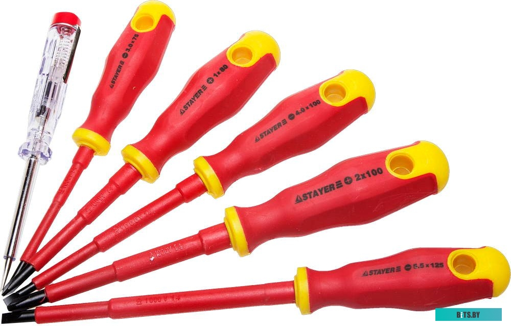 Stayer Profi Electro 100-250В, Cr-V 25145-H6_z01 (6 предметов)