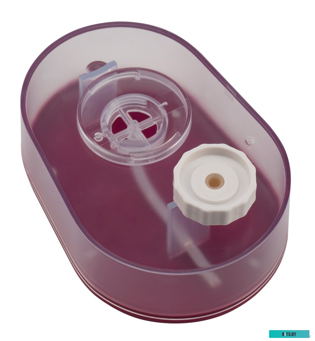 H-HS02890 Отпариватель ручной Hyundai H-HS02890,  белый  / вишневый