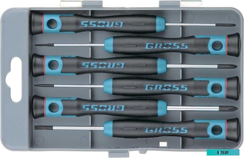 Gross 13347 (6 предметов)