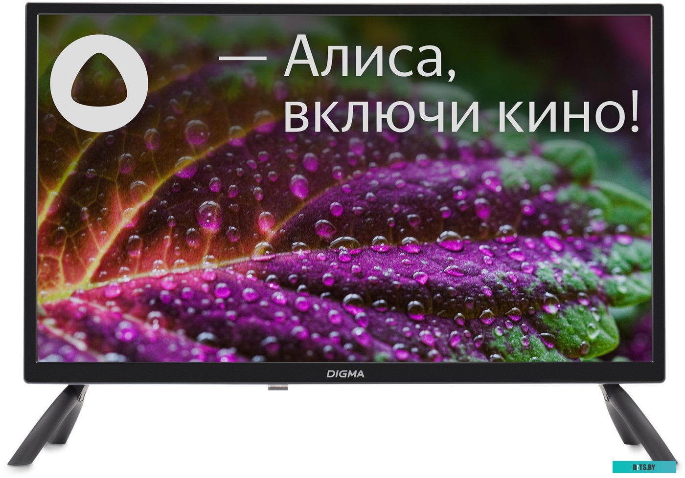 Телевизор Digma DM-LED24SBB31
