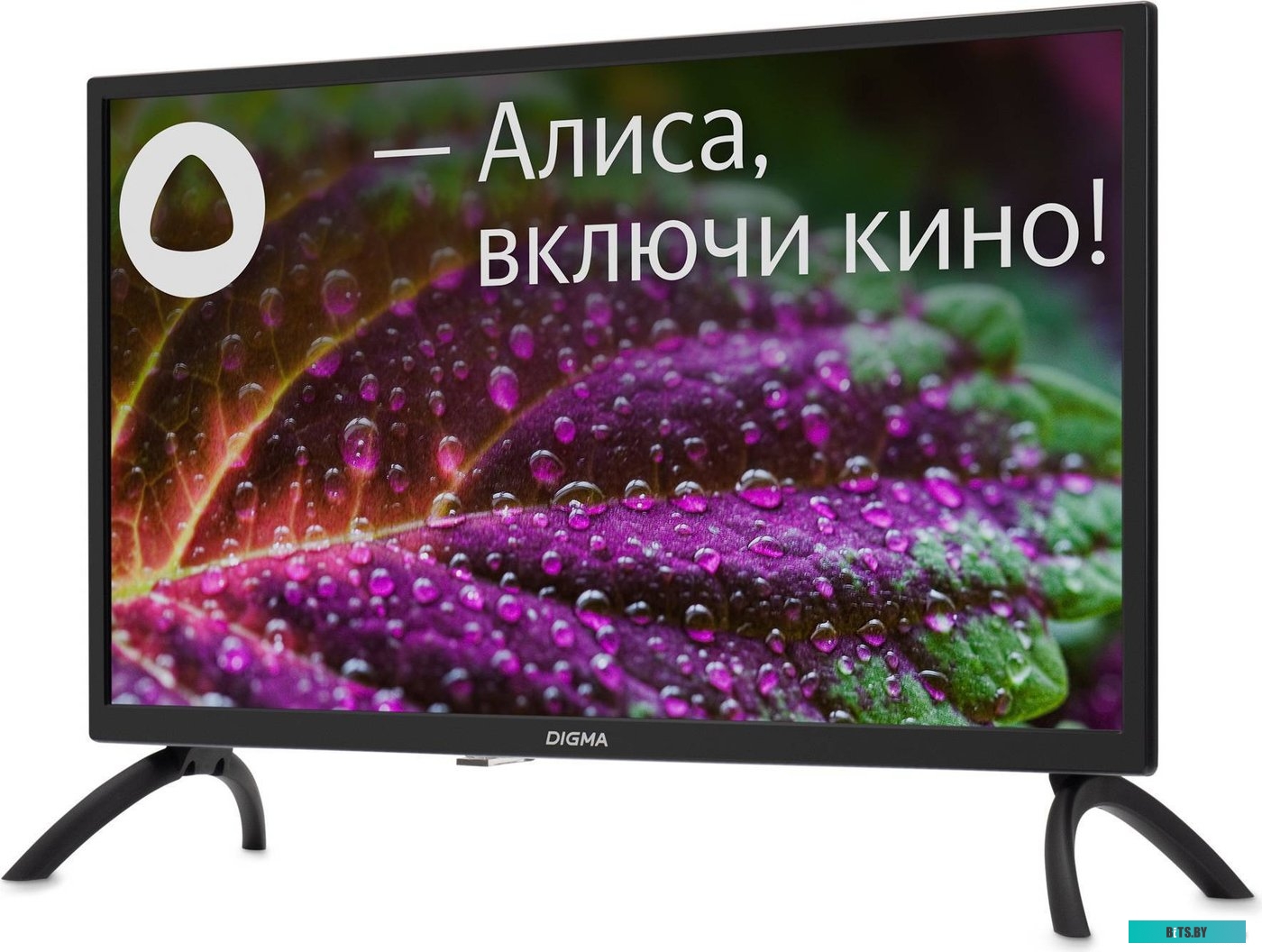 Телевизор Digma DM-LED24SBB31