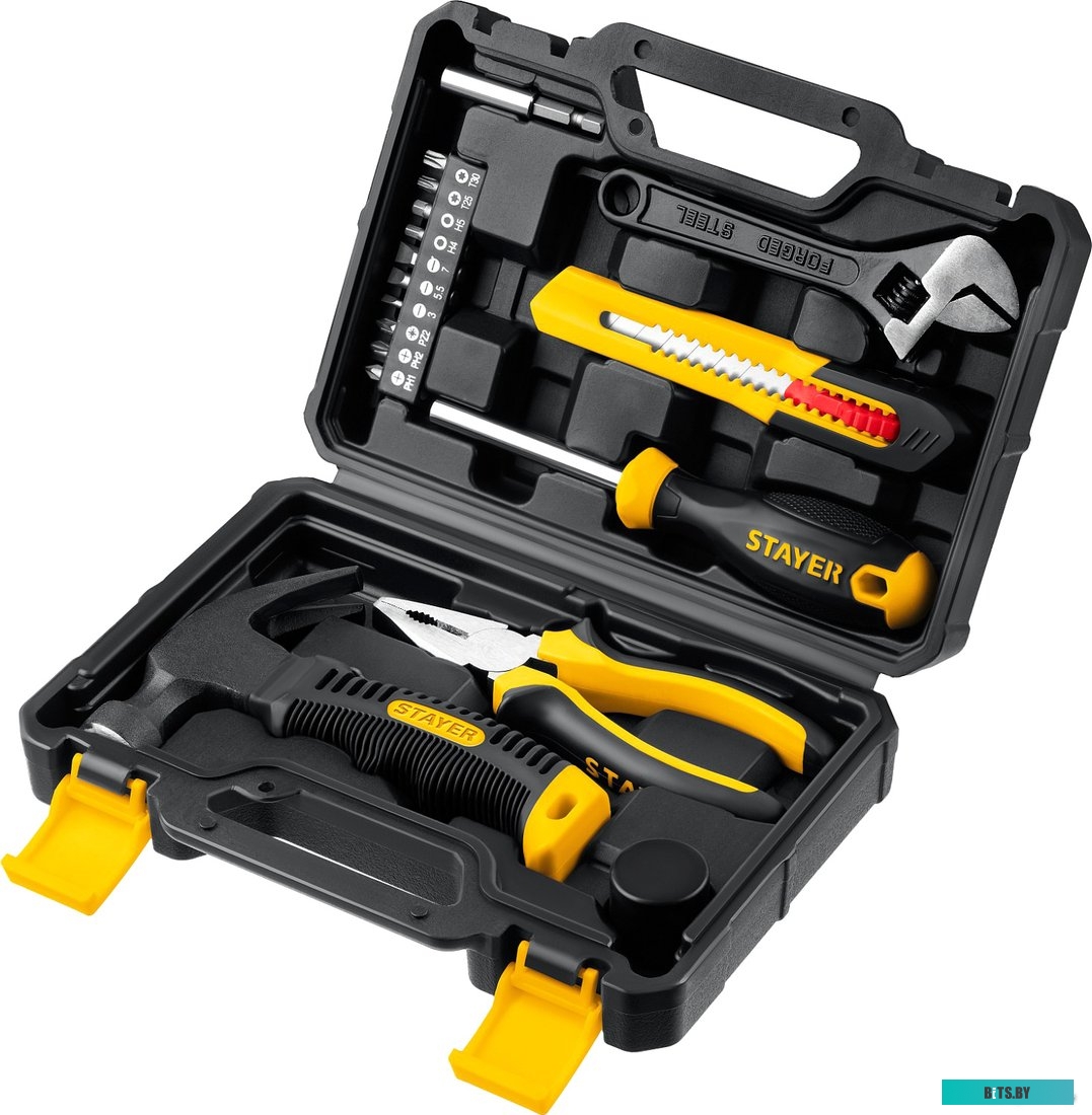 Stayer Master-17 2205-H17 (17 предметов)