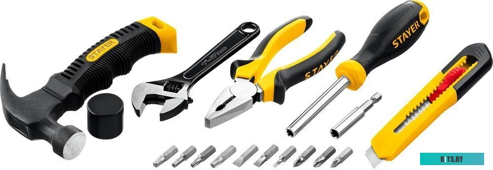 Stayer Master-17 2205-H17 (17 предметов)