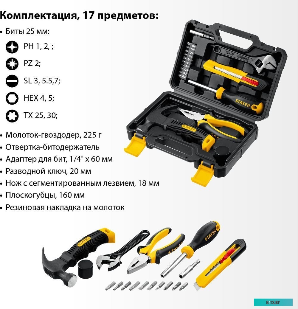 Stayer Master-17 2205-H17 (17 предметов)