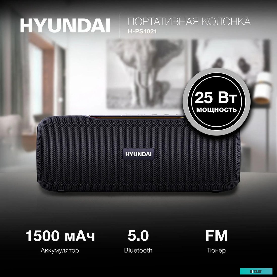 Портативная колонка Hyundai H-PS1021