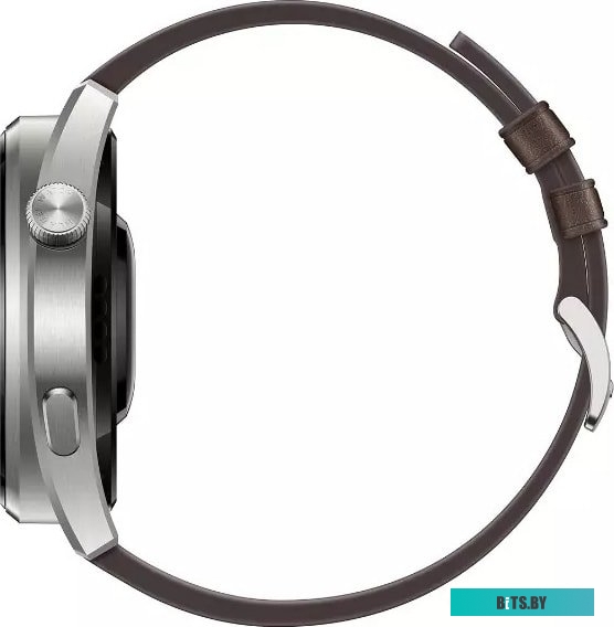 Умные часы Huawei Watch 3 Pro <GLL-AL01>