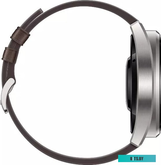 Умные часы Huawei Watch 3 Pro <GLL-AL01>