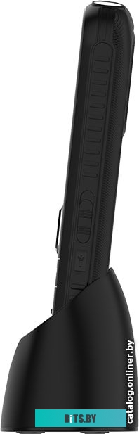 Мобильный телефон Maxvi B21ds (черный)