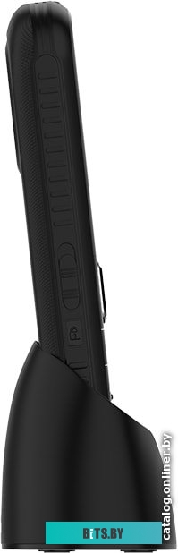 Мобильный телефон Maxvi B21ds (черный)