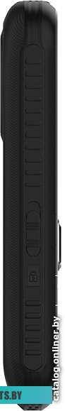 Мобильный телефон Maxvi B21ds (черный)