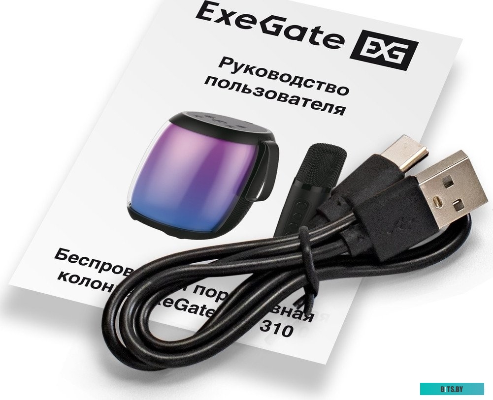 Маршрутизатор ExeGate Bro 310 4895205141117