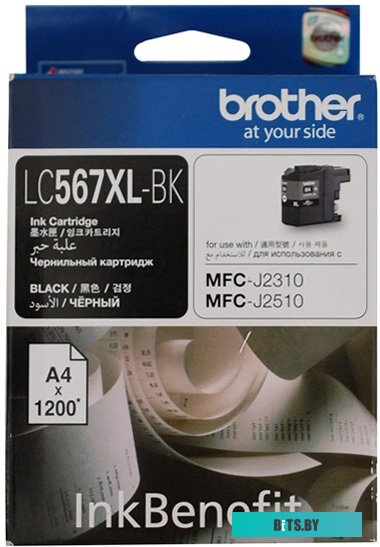 Струйный картридж ProfiLine PL-C567XLBK, 1239854