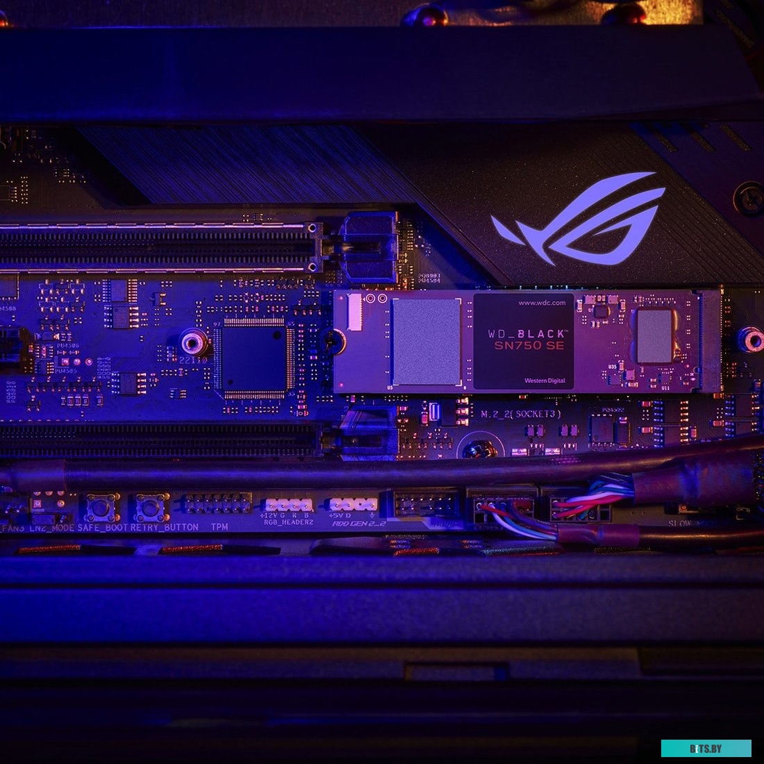 SSD Накопитель WD Black SN750 SE 250GB WDS250G1B0E