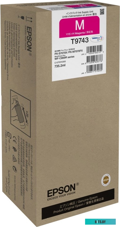 Чернила Epson C13T974300