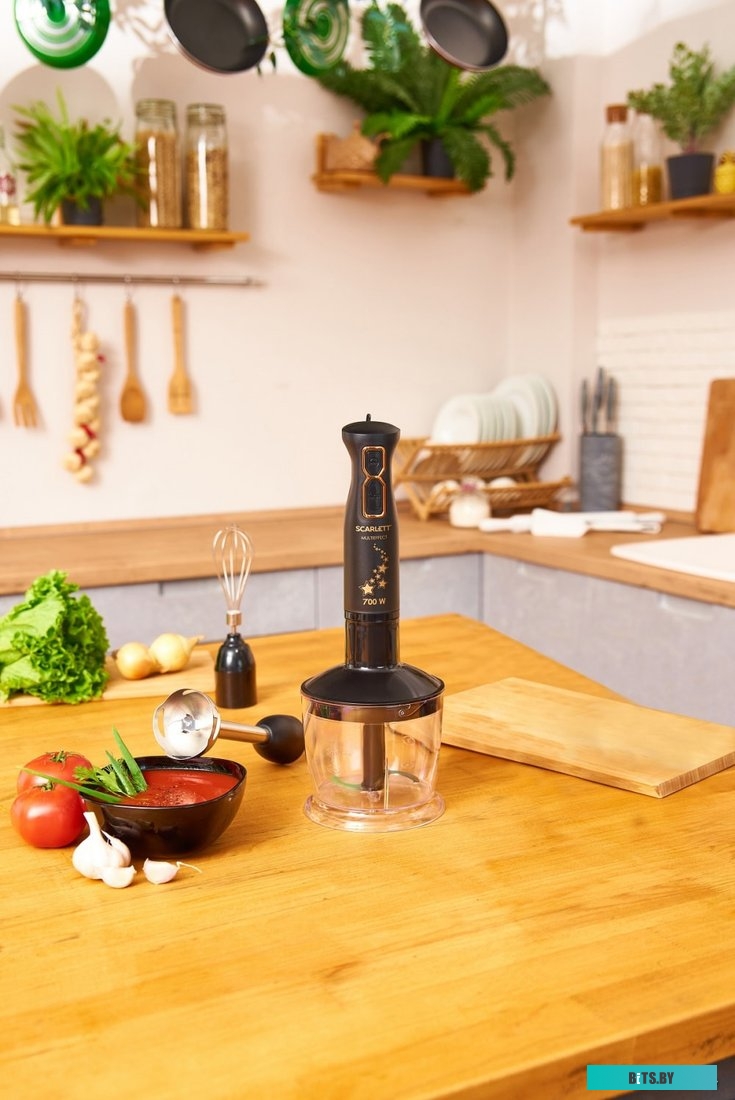 SC-HB42F72 Блендер погружной SC-HB42F72 BLACK SCARLETT