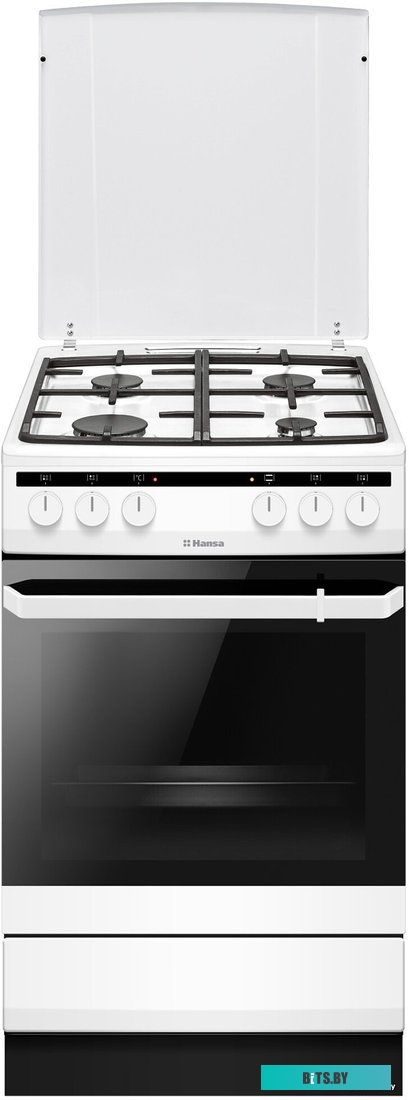 FCMW580250 Плита газоэлектрическая Hansa FCMW580250