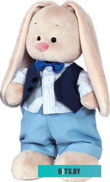 Stayer 2513 (11 предметов)