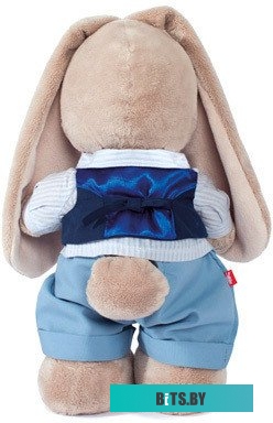 Stayer 2513 (11 предметов)