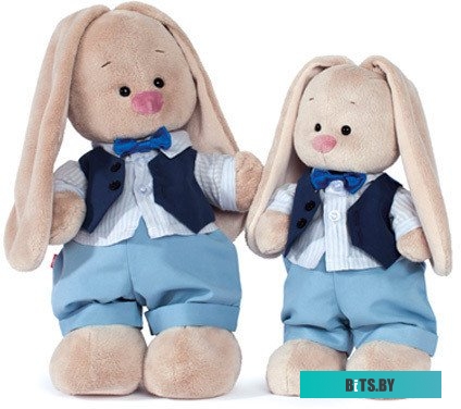 Stayer 2513 (11 предметов)