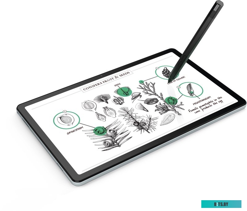 Планшет Lenovo Tab M10 Plus 3rd Gen TB-128XU 4GB/128GB LTE (серый)