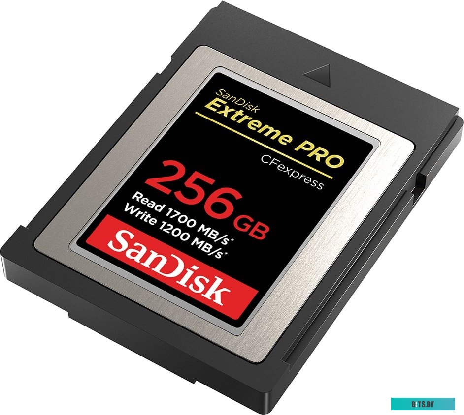 Карта памяти SanDisk Extreme Pro CFexpress Type B SDCFE-256G-GN4NN 256GB