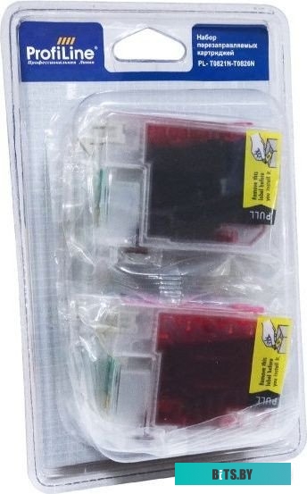 Струйный картридж ProfiLine PL-T0548 PL-T0548