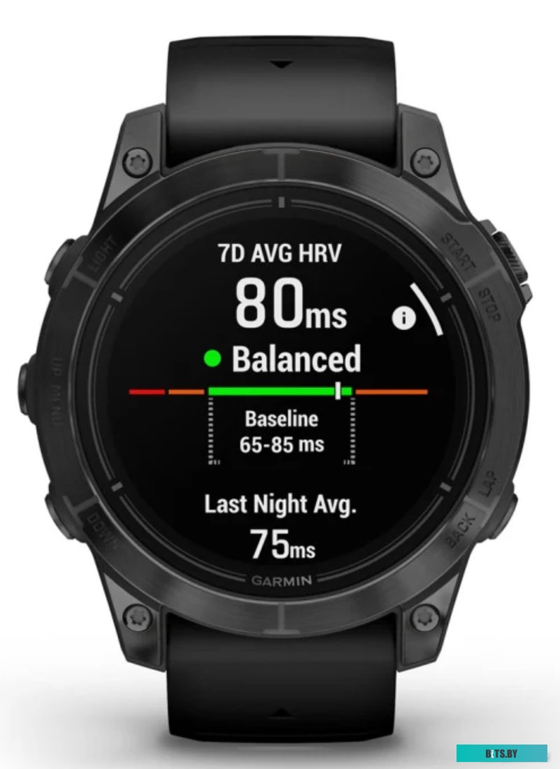 Умные часы Garmin Epix Pro Gen 2 Standard 47 мм (сланцево-серый/черный)