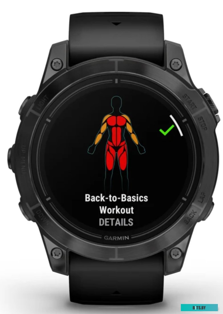 Умные часы Garmin Epix Pro Gen 2 Standard 47 мм (сланцево-серый/черный)