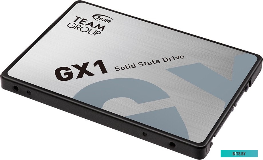 Твердотельный накопитель Team Group GX1 480GB T253X1480G0C101
