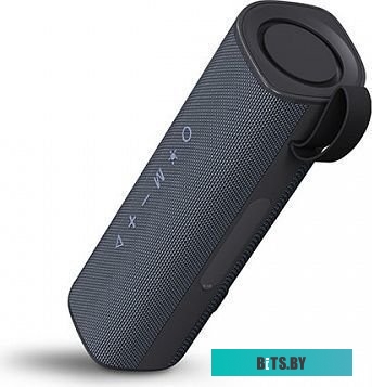 Портативная акустика BQ PBS1008 Black