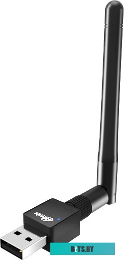 Wi-Fi адаптер Ritmix RWA-220