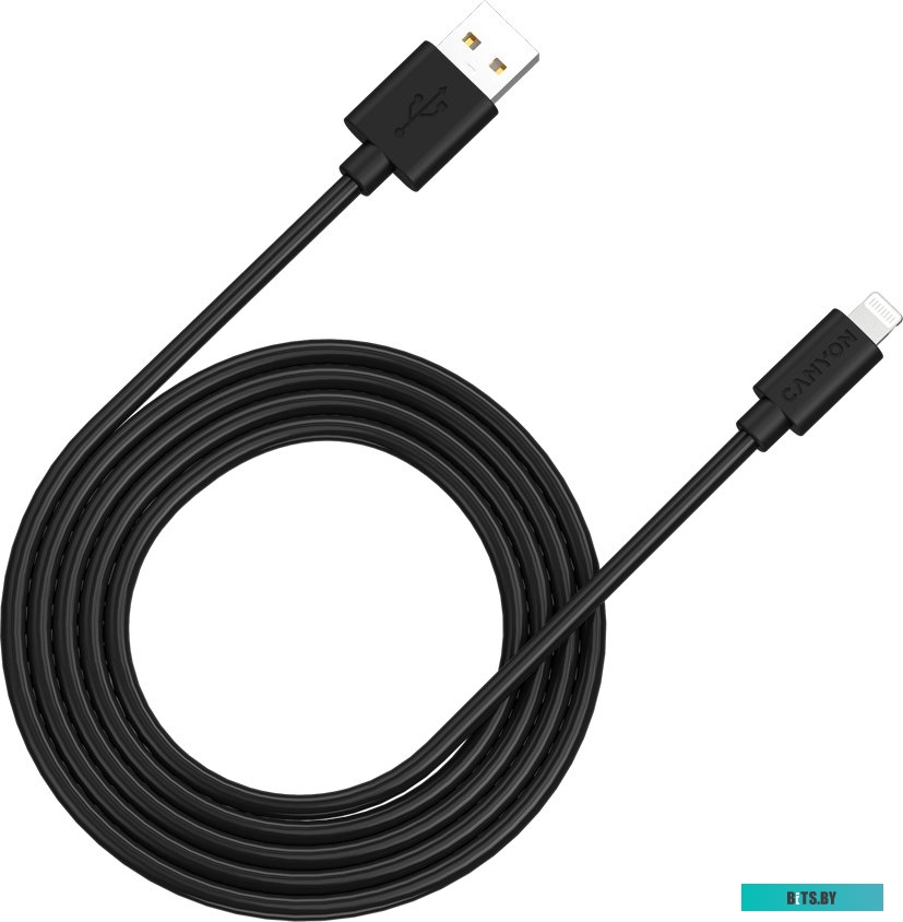 Кабель Canyon CNS-MFIC12B USB Type-A - Lightning (2 м, черный)