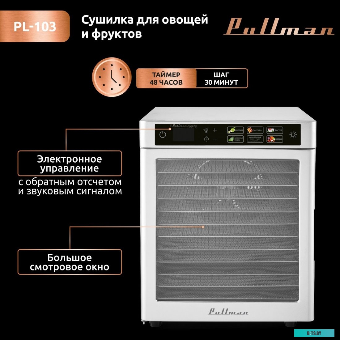 Тонер ProfiLine Samsung CLP-300/CLX-3160/Phaser 6010/6110/6120/WC 6000/6015 PL-8103