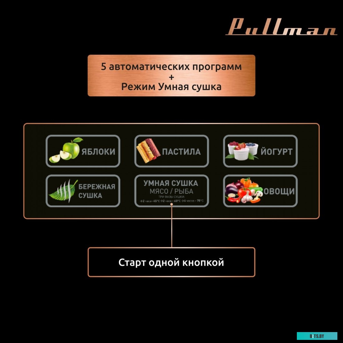 Тонер ProfiLine Samsung CLP-300/CLX-3160/Phaser 6010/6110/6120/WC 6000/6015 PL-8103