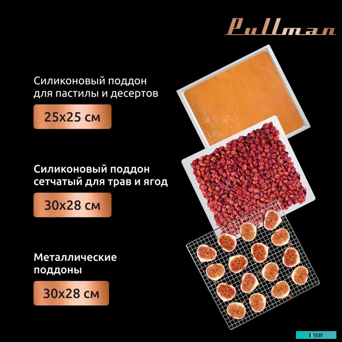 Тонер ProfiLine Samsung CLP-300/CLX-3160/Phaser 6010/6110/6120/WC 6000/6015 PL-8103