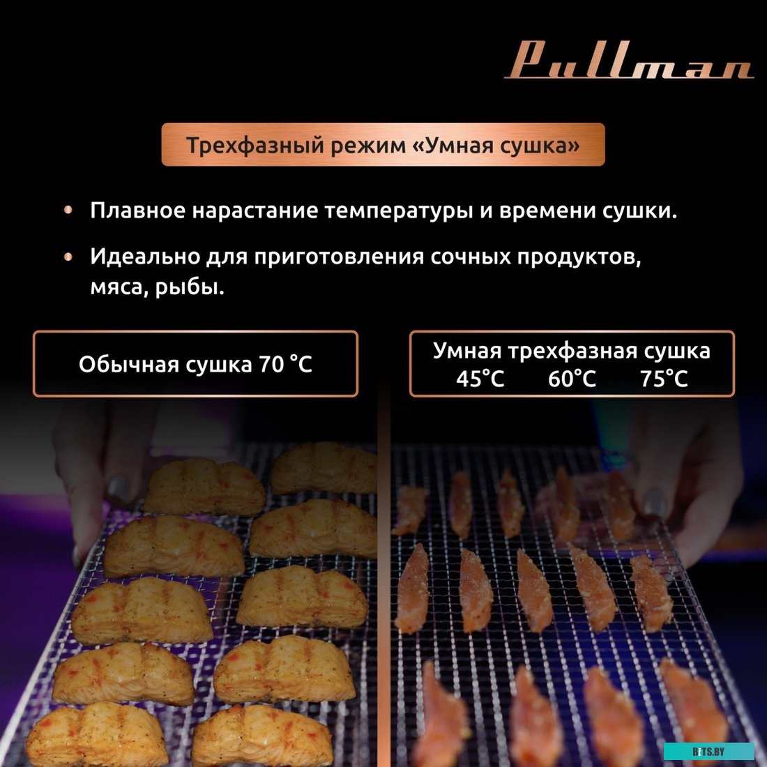 Тонер ProfiLine Samsung CLP-300/CLX-3160/Phaser 6010/6110/6120/WC 6000/6015 PL-8103