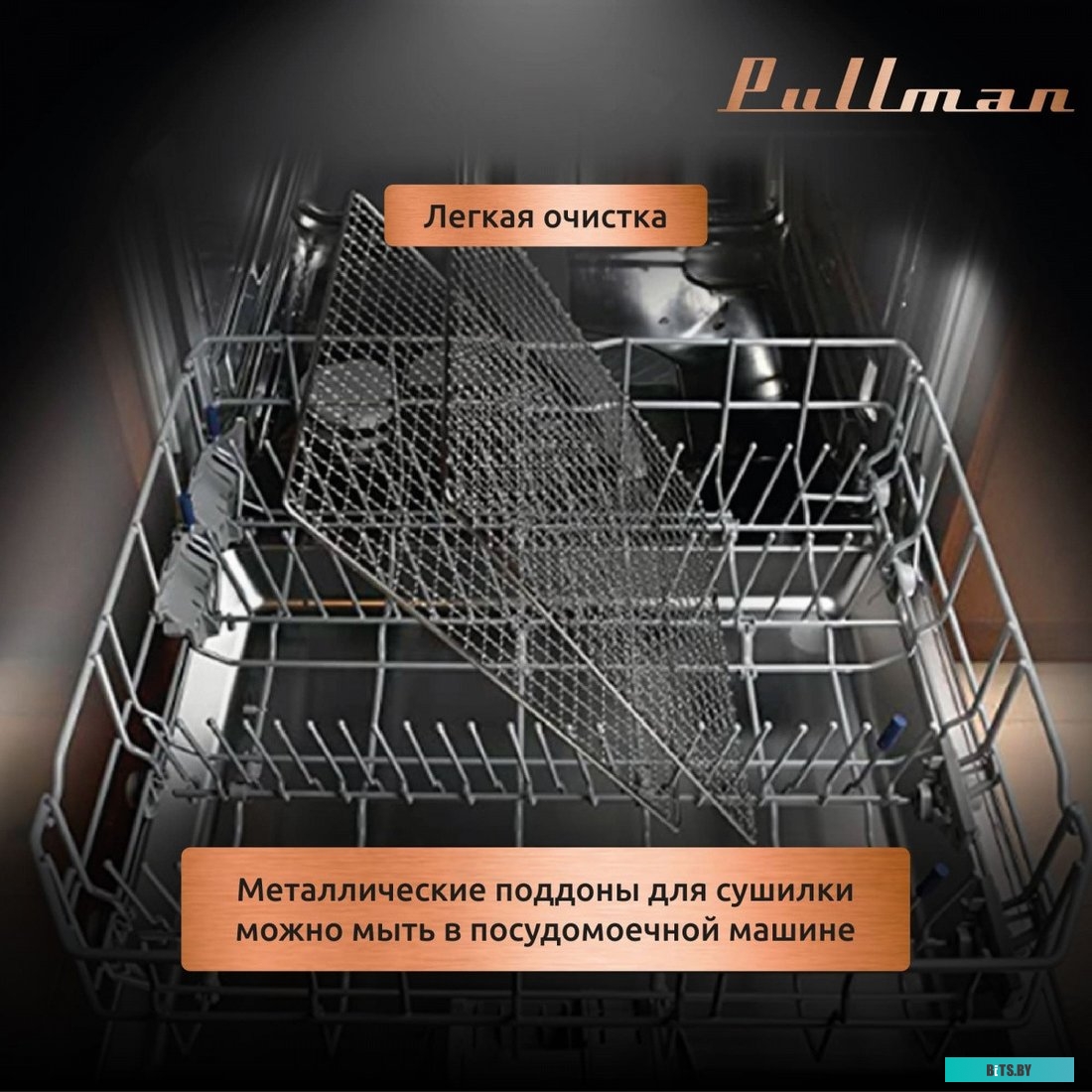 Тонер ProfiLine Samsung CLP-300/CLX-3160/Phaser 6010/6110/6120/WC 6000/6015 PL-8103