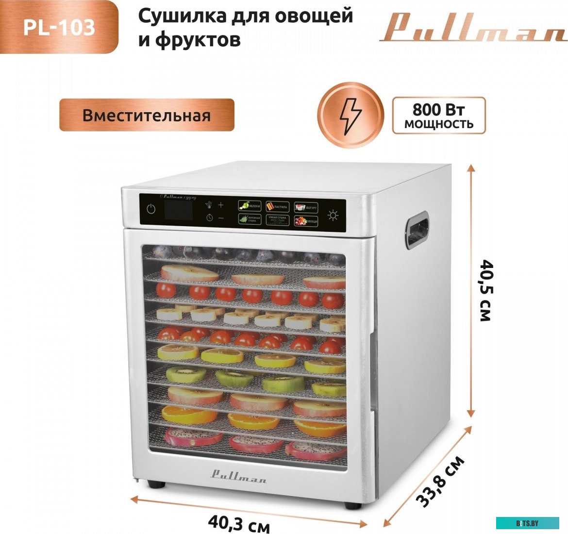 Тонер ProfiLine Samsung CLP-300/CLX-3160/Phaser 6010/6110/6120/WC 6000/6015 PL-8103