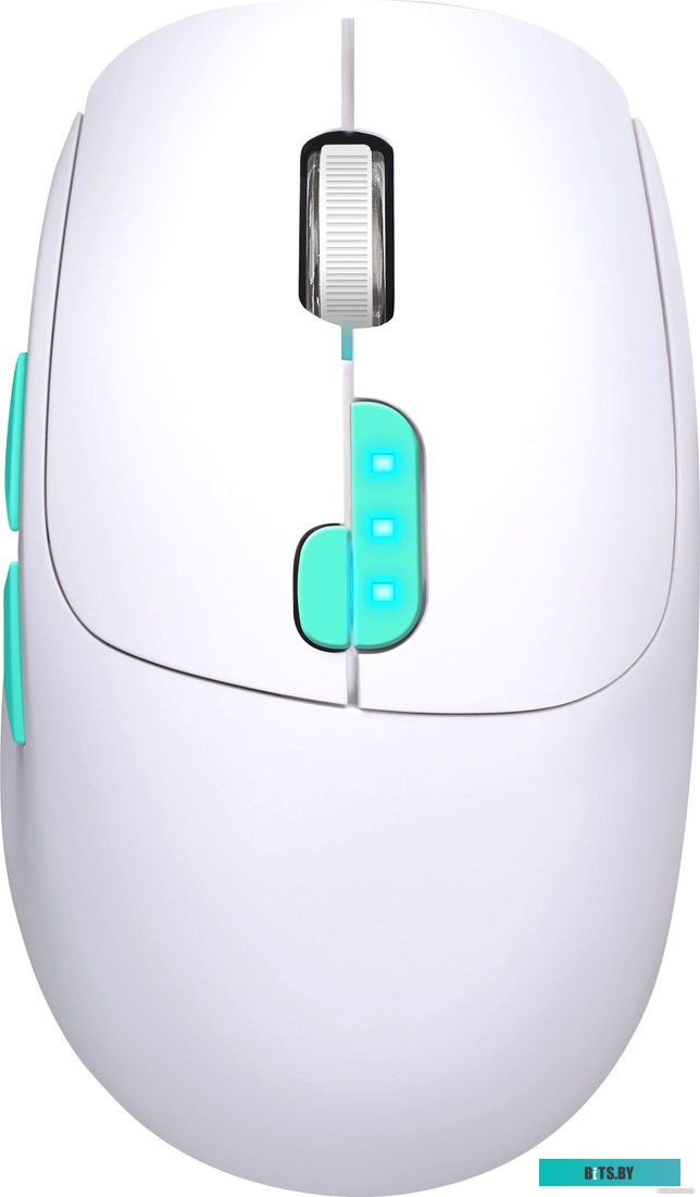 Мышь Defender Nitta MM-307 52307