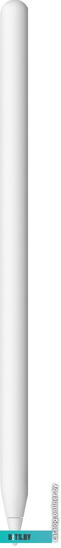 Стилус Apple A2051 2nd Generation MU8F2AM/A