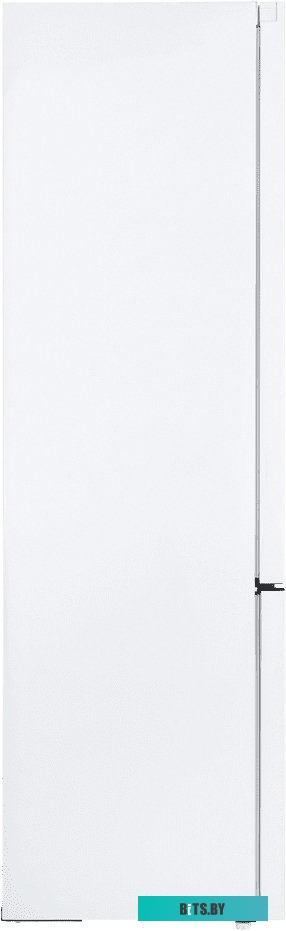 Maunfeld MFF195NFW10