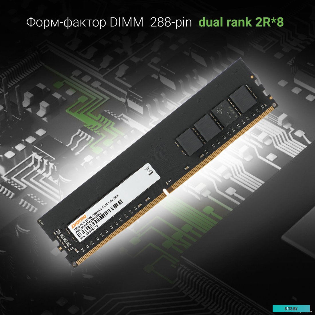 Оперативная память Digma 32ГБ DDR4 2666 МГц DGMAD42666032D