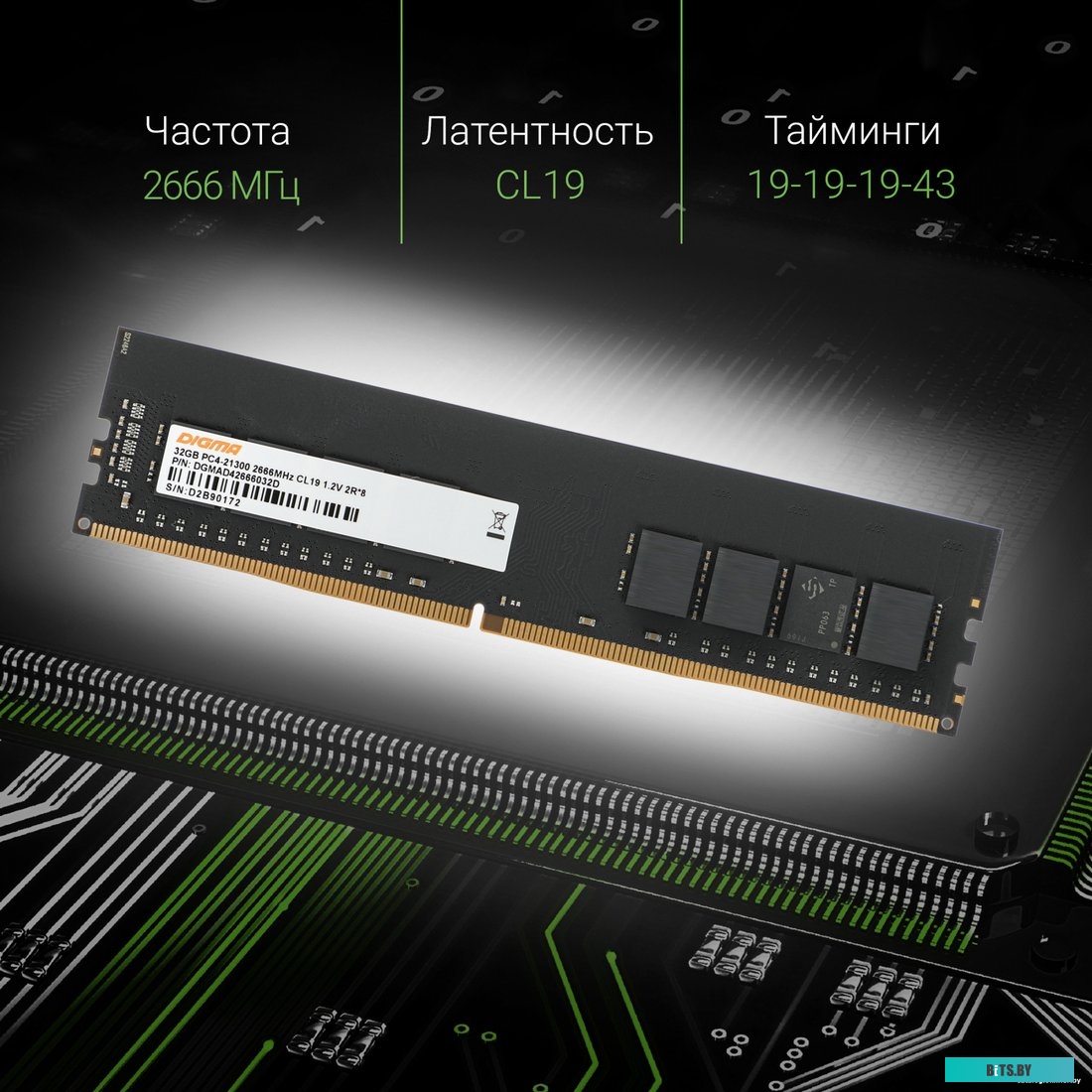 Оперативная память Digma 32ГБ DDR4 2666 МГц DGMAD42666032D