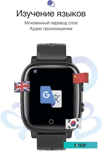 Умные часы Prolike PLSW03BK черный