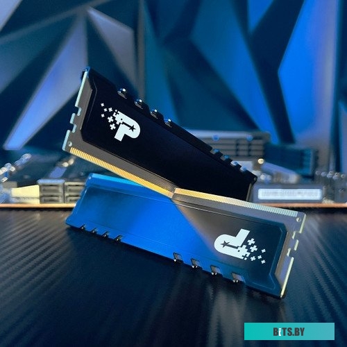 Модуль памяти PATRIOT Signature Premium DDR5 PSP516G4800KH1