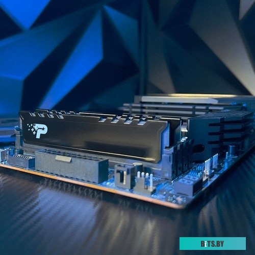 Модуль памяти PATRIOT Signature Premium DDR5 PSP516G4800KH1