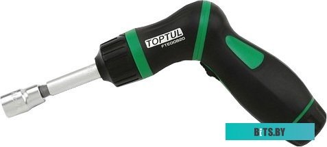 Toptul GAAI5401 54 предмета