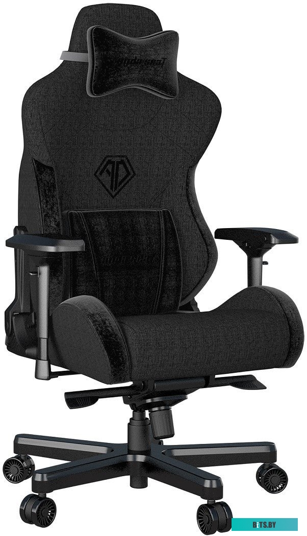 Кресло AndaSeat T-Pro 2 (черный) <AD12XLLA-01-B-F>