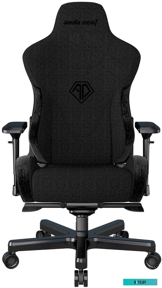 Кресло AndaSeat T-Pro 2 (черный) <AD12XLLA-01-B-F>